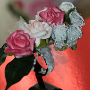 IMG_0156_sq