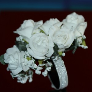 IMG_0163_sq