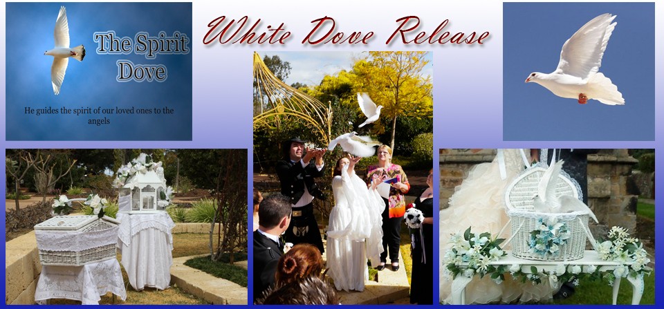 White Dove Releases